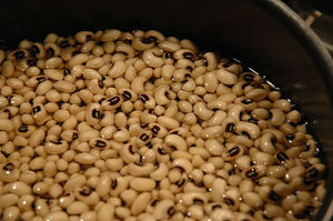black-eyed-peas-nep.jpg