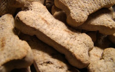 3 Ingredient Dog Treats To Pamper Your Pup