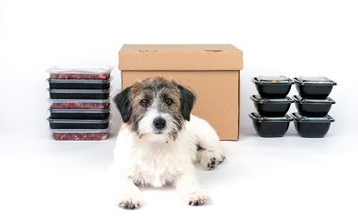 Best Fresh Dog Food Delivery Services