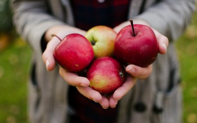 8 Must-Know Tips For Apple Picking Season