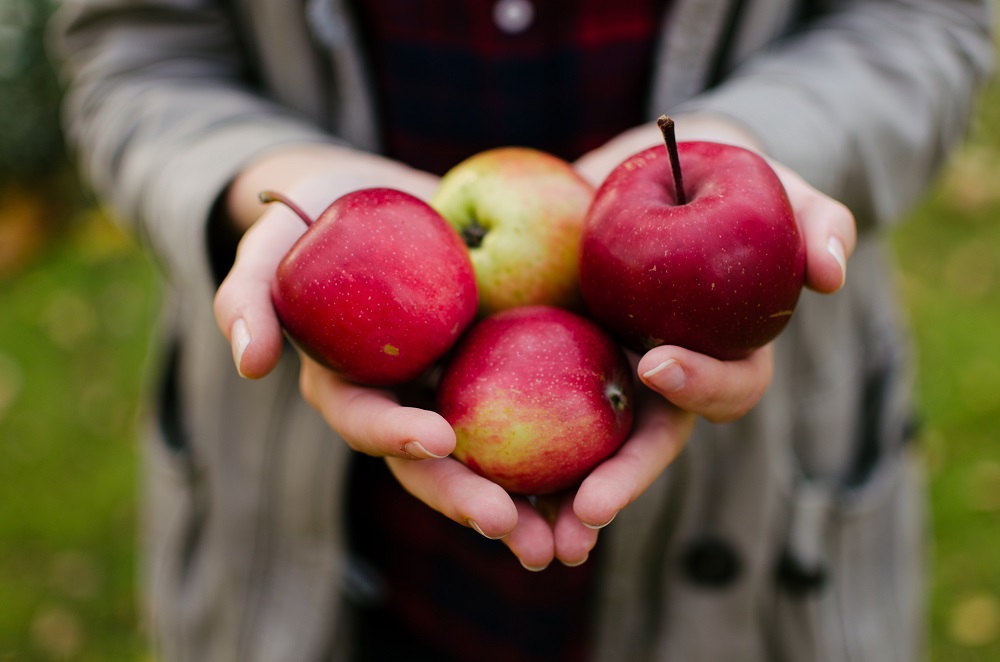 8 Must-Know Tips For Apple Picking Season