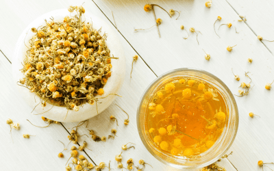 8 Best Teas For Focus, Memory, And Brain Function